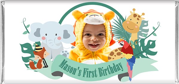 Safari Babies Personalised Chocolate Bars with Photo