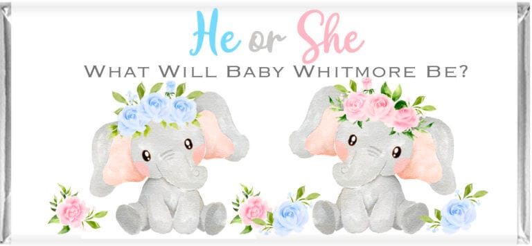 Custom Gender Reveal Chocolates - Pink & Blue Elephants